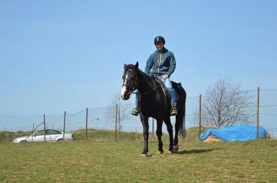 Koně-Křesetice