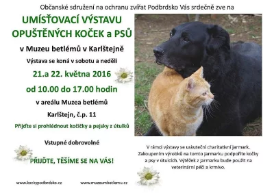 Umísťovací výstava koček a psů