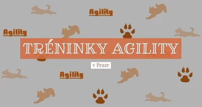 AGILITY tréninky v Praze