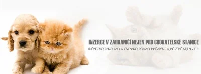 Nabízím inzerci v zahraničí (SK, PL, AT, CH, FIN, HUN)