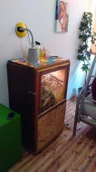 Chameleon Jemenský samička