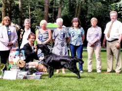 Flat coated retriever štěňata s PP ihned k odběru