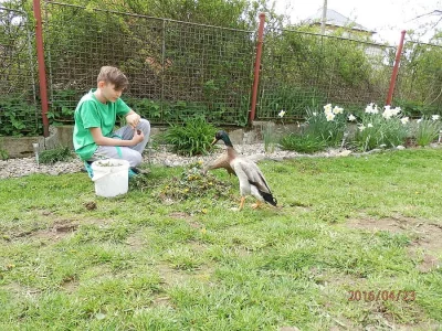 indický běžec
