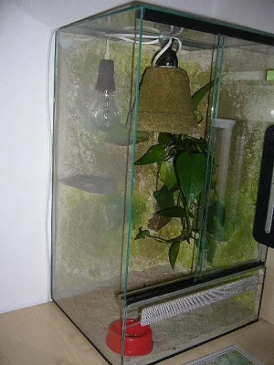 SKLENĚNÉ TERÁRIUM 57 X 28 X 34,5 - KOMPLETNÉ VYBAVENÉ
