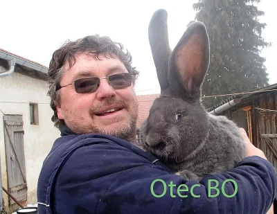 Belgický obr a kříženci