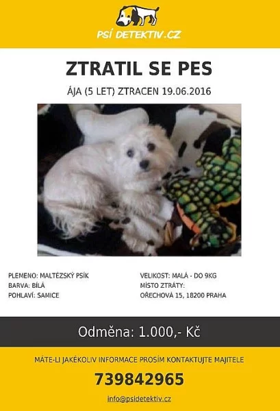 Ztratila se Ája
