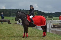 Sportovní pony, poník do sportu i volný čas