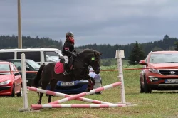 Sportovní pony, poník do sportu i volný čas
