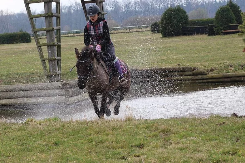 Sportovní pony, poník do sportu i volný čas