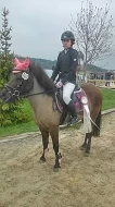 Sportovní pony, poník do sportu i volný čas