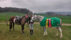 Sportovní pony, poník do sportu i volný čas
