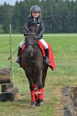 Sportovní pony, poník do sportu i volný čas