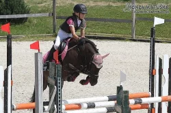 Sportovní pony, poník do sportu i volný čas