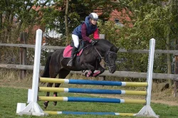 Sportovní pony, poník do sportu i volný čas