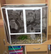 Terárium