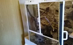 Terárium