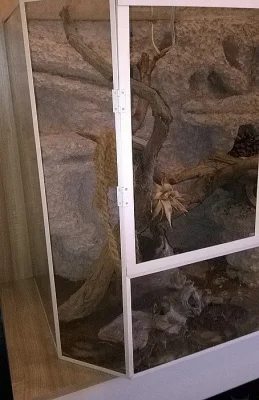 Terárium