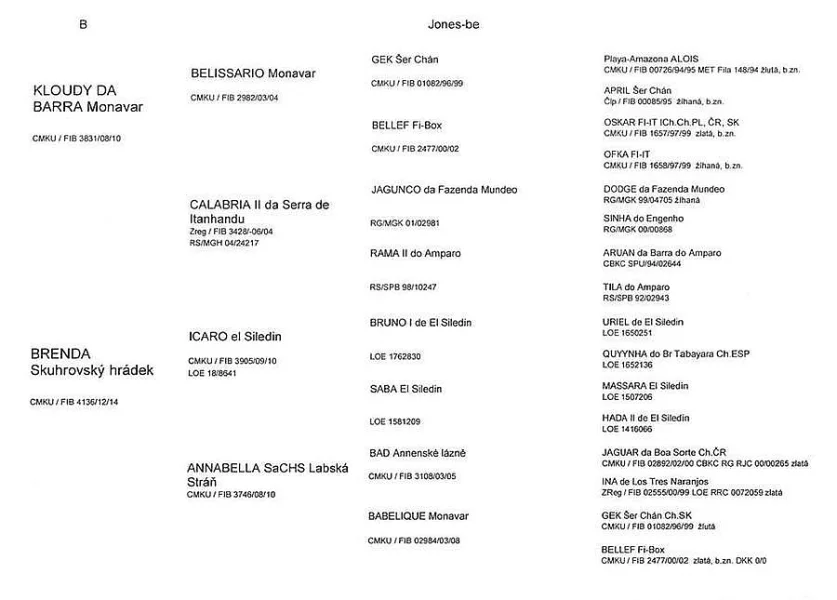 Nabízím k rezervaci štěňátka s PP Brazilská fila