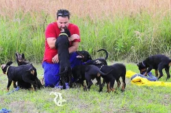 Beauceron s PP štěňátka