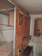 Voliera