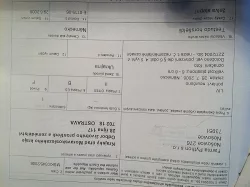 Želva stepní - 14,5 cm, stáří více než 10 let