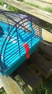 Klec pro hlodavce, přepravka