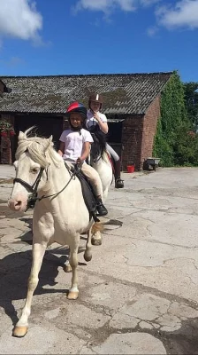 Koně