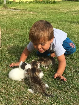 Darujeme krasna kotatka