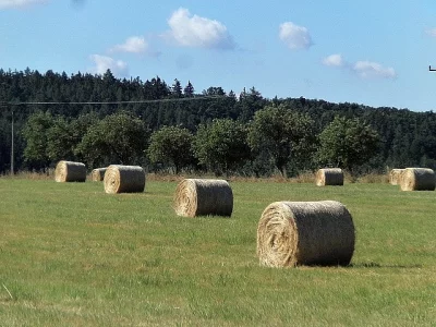 KVALITNÍ SENO JIH PRAHY
