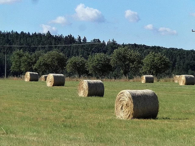 KVALITNÍ SENO JIH PRAHY