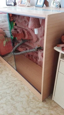 Terárium pro leguána