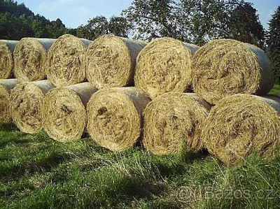 Nabízím letošní seno