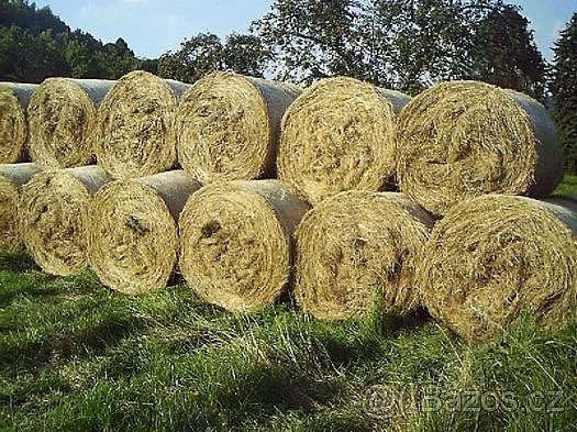 Nabízím letošní seno