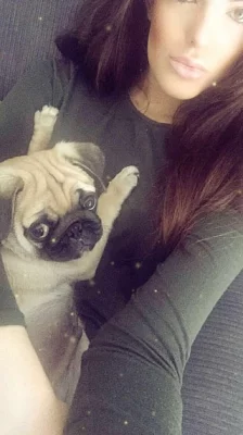 Mops štěňátka