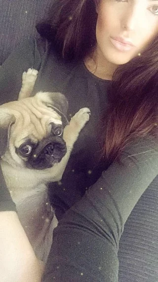 Mops štěňátka