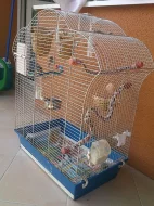Prodám zebřičky + kompletní vybavení