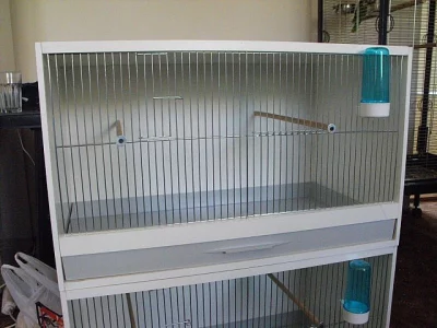 nova bednova kec