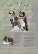 AKITA INU s PP