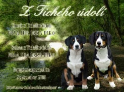 Entlebušský salašnický pes