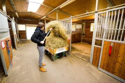 Elektrický nákladní vozík Mula 4x4