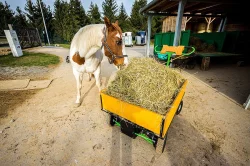 Elektrický nákladní vozík Mula 4x4