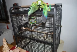 Klec pro velké papoušky ferplast-expert-100
