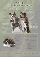 Akita Inu s PP