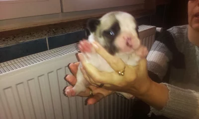 fb.kluci