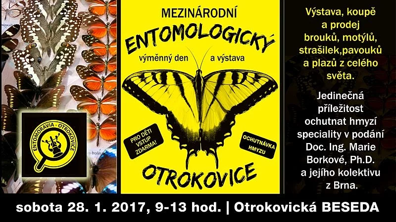 Entomologická výstava v Otrokovicích, 28.1.2017