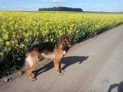Nabídka ke krytí