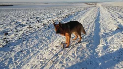 KRYTÍ
