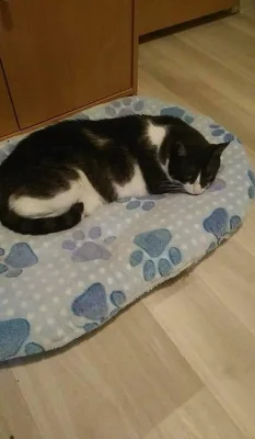 mikeš