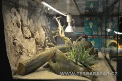 Terrabazar-Výstavní a prodejní teraristická burza