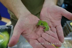 Terrabazar-Výstavní a prodejní teraristická burza